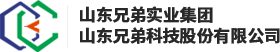 Asentus Logo